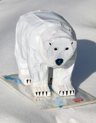 Polar-Bear-on-Ice-floe