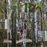 AWalkintheForest