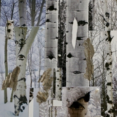 SnowonAspens