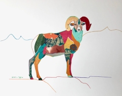 Bighorn-Sheep