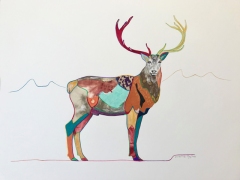 Elk