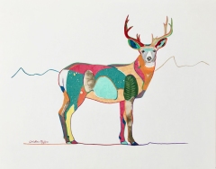 Mule-Deer