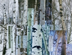 WinterForest
