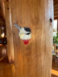 Chickadee