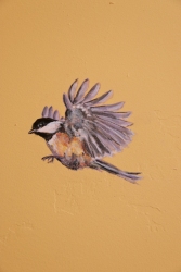Chickadee