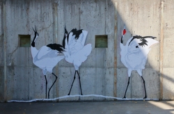 Dancing-Cranes