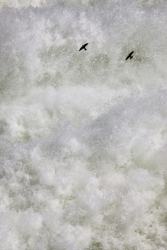 Spring-Runoff