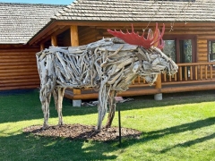 Alces, Alces Gigas