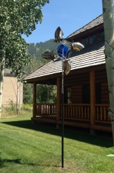 Pinwheel