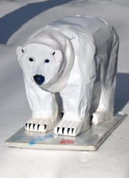 Polar-Bear-2