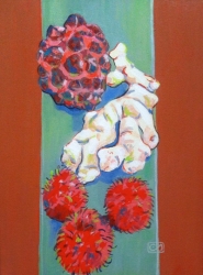 Sugar Apple, Rambutan And Ginger